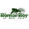 Bonsai Boy