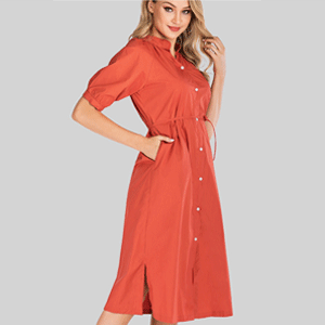 Stand Collar Short-sleeve Cinched waist Dress